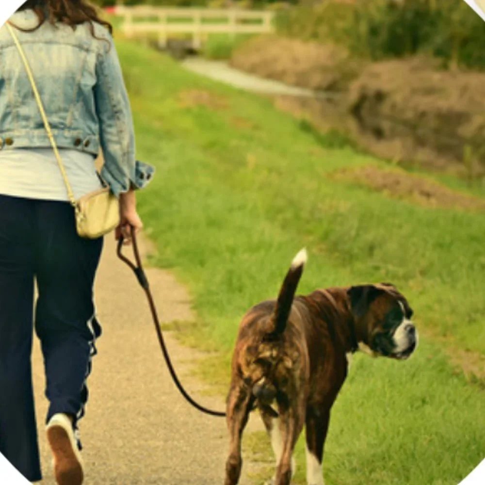 GENUINE LEATHER Dog Leash Heavy Duty Training Lead for Small to Large Dogs